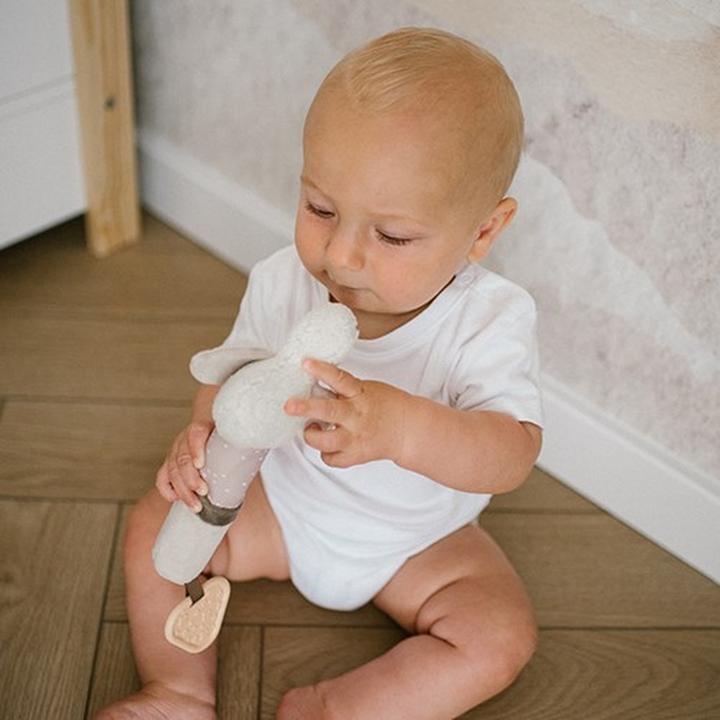 Immagine prodotto Babyono Squittio d'oca con anello di morso d'oca (3 Mesi)