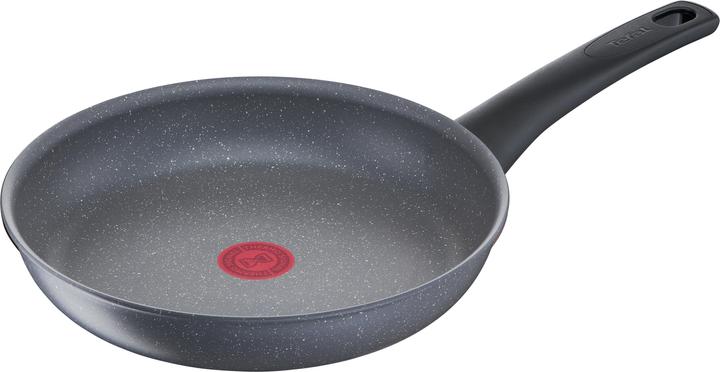 Tefal TEF Pan 20cm (20 cm, Koekenpan, Aluminium)