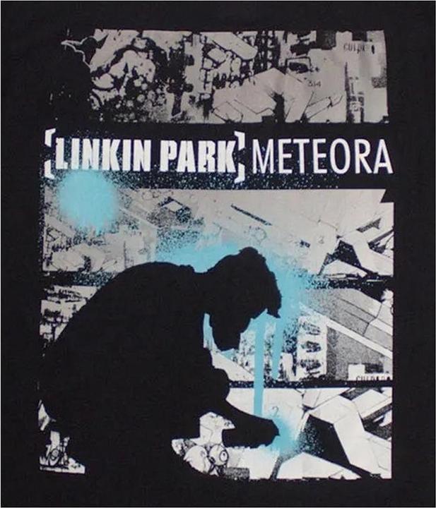 Produktbild Linkin Park Meteora Drip Collage Kurzes Top (XS)