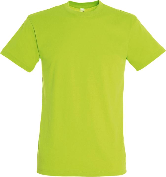 Image du produit Sols Tee-shirt Regent à manches courtes (3XL)