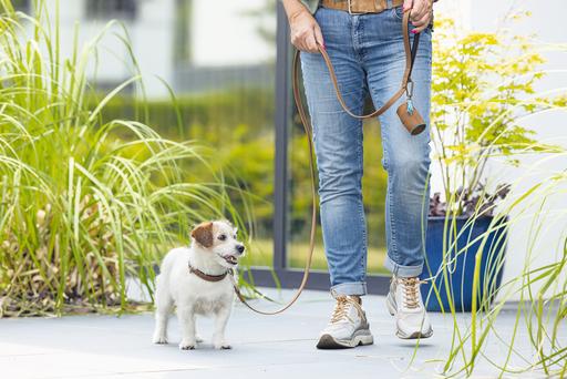 Actual product image Beeztees Bz Balacron Barf Bag Dispenser O (Dog)