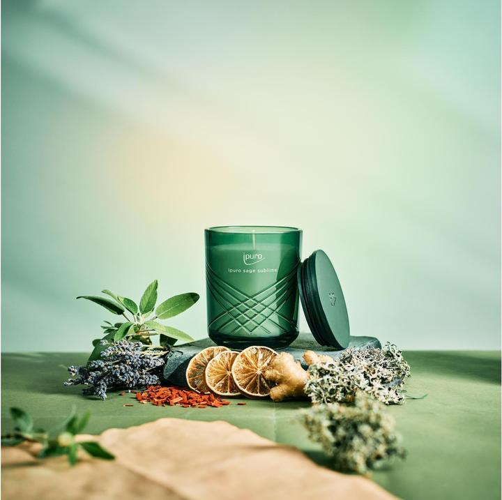 Produktbild Ipuro Exclusive (270 g)