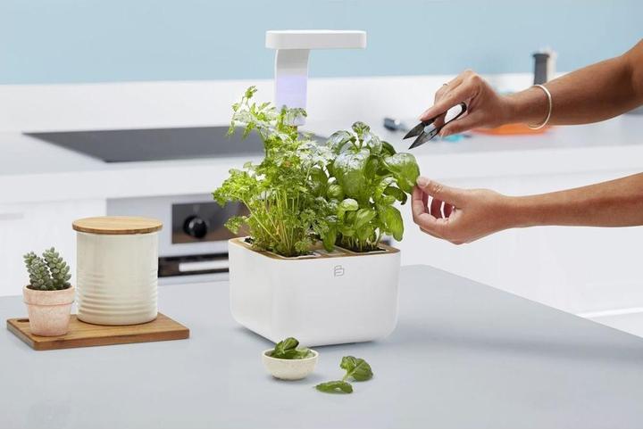 Immagine prodotto Véritable Botaneo Eylo (18.40 cm)