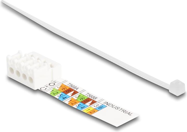 Actual product image Delock RJ45 plug field-wireable Cat.6A with push and pull lug tool-free (Network cable plug)