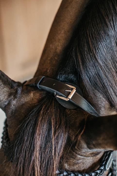 Produktbild Dy'on Geflochtene Zäume Reiten