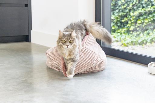 Actual product image Designed by Lotte Katzen Korb Ribbed (Cat)