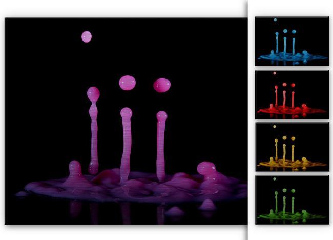 Image du produit Trenddeko De Kogel - Élixir secret (100 x 70 cm)