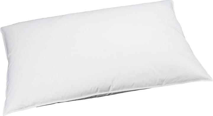 Billerbeck Edition Swiss Edition Soft Pillow 90