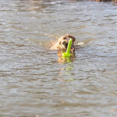 Produktbild Trixie Dog Activity Mot-Aqua 29cm