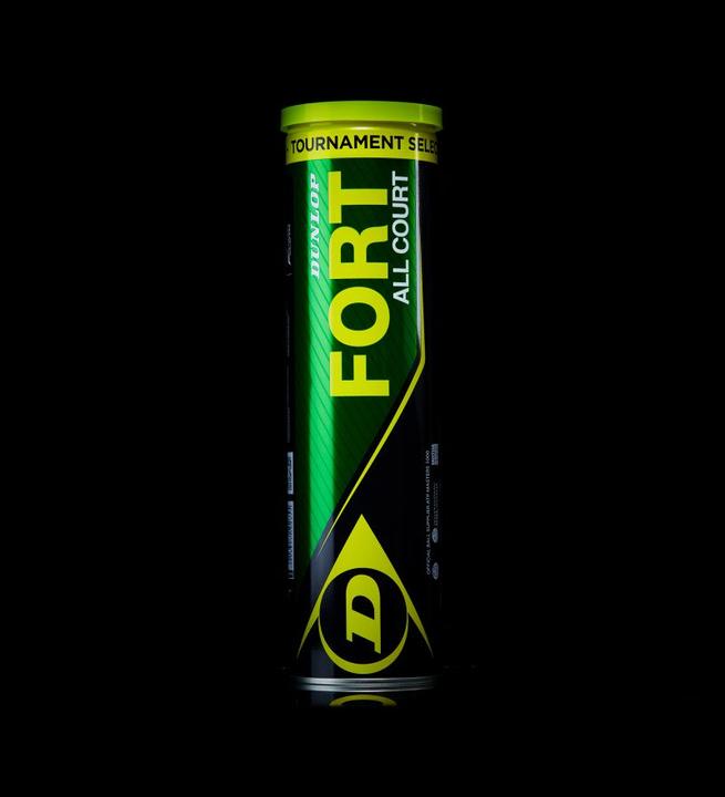 Actual product image Dunlop Fort All Court