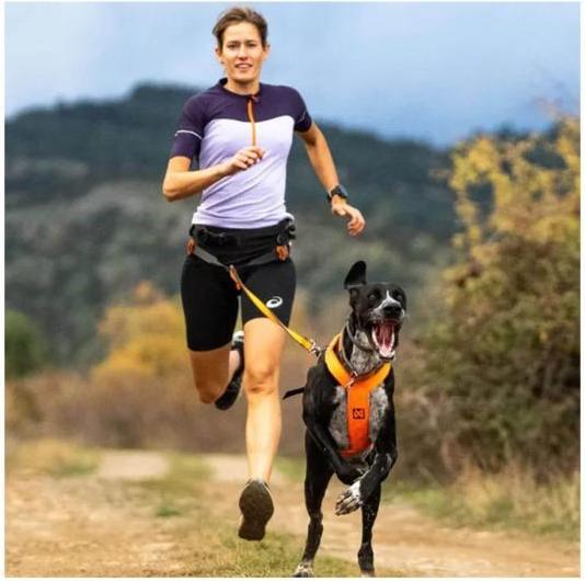 Actual product image Non-Stop Dogwear Freemotion Harness 5.0 (XXL, Dog, Dog sport)