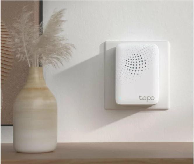 Actual product image TP-Link Tapo H100