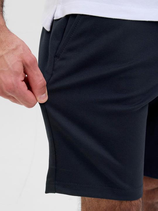 Actual product image Jack & Jones Regular Fit Shorts Shorts (S)