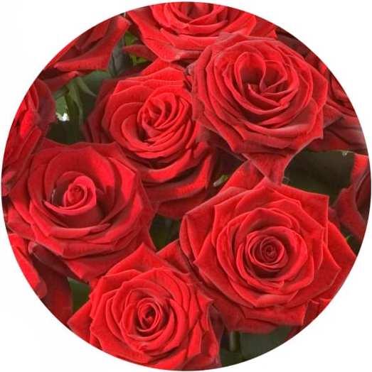 Fleurop Mazzo di rose rosse (Fiori recisi)