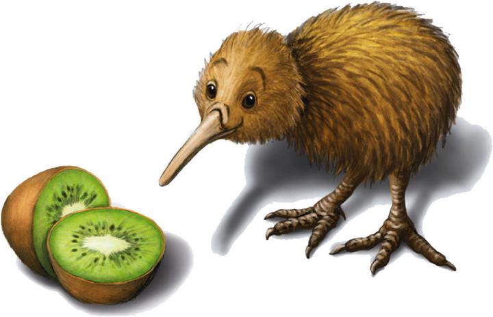 Actual product image Piatnik Unambiguous Ambiguous II (German, 2 - 6 Players)