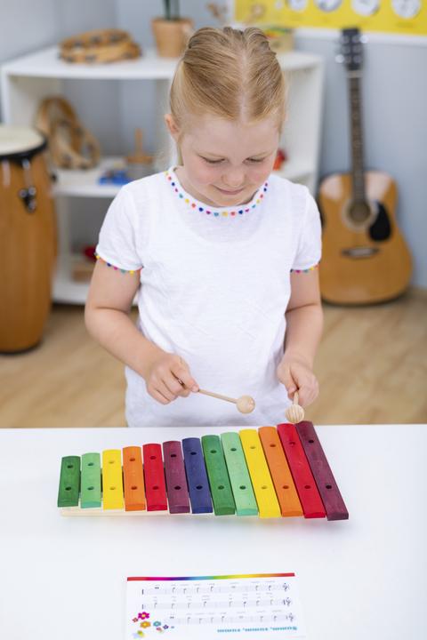 Image du produit xylophone coloré