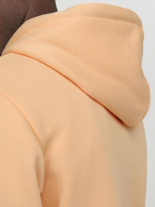 Produktbild Jack & Jones Colorblock Hoodie (XXL)