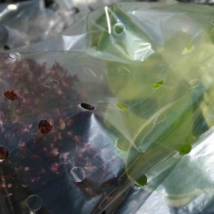 Actual product image Siena Garden Cold frame foil 1,5x10m