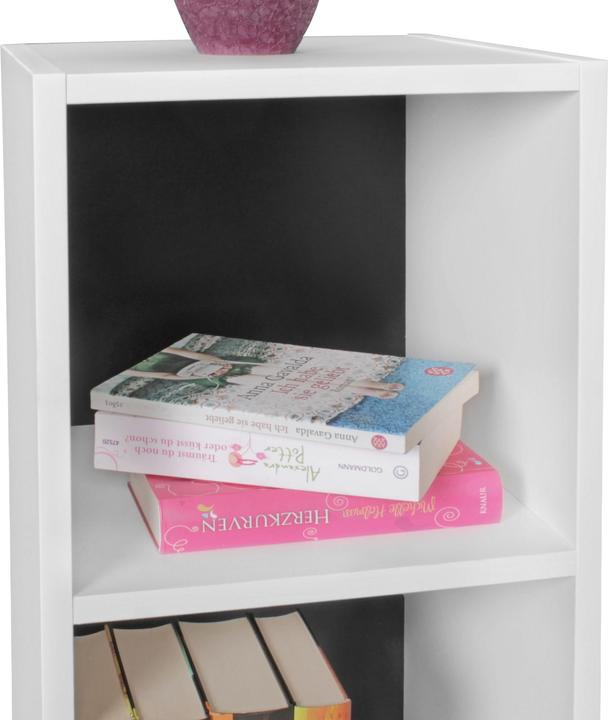 Immagine prodotto FineBuy Matthieu (30 x 60 x 30 cm)