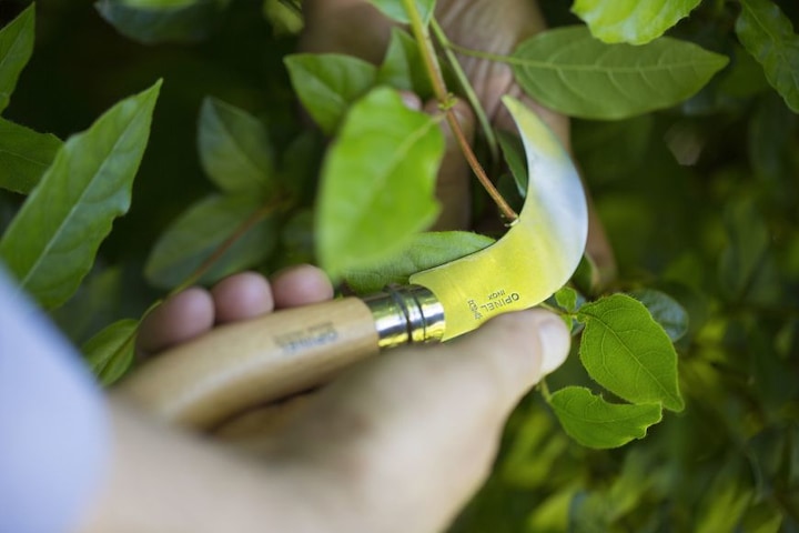 Immagine prodotto Opinel No. 10 (8 cm)