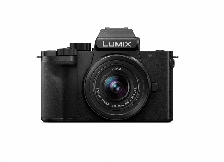 Panasonic DC-G110 (12 - 32 mm, 20 Mpx, Micro Four Thirds)