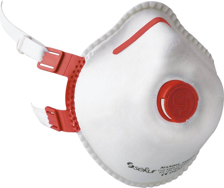 Ekastu Sekur Feinstaubmaske mit Ventil FFP3 (FFP3, 5 x)