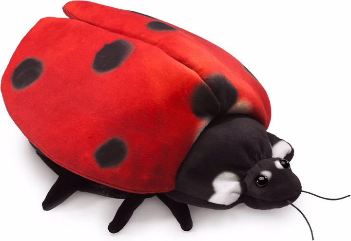 Produktbild Folkmanis Marienkäfer Metamorphose