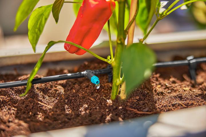 Productafbeelding Gardena Micro-Drip-System Set Terras (Set druppelirrigatie)