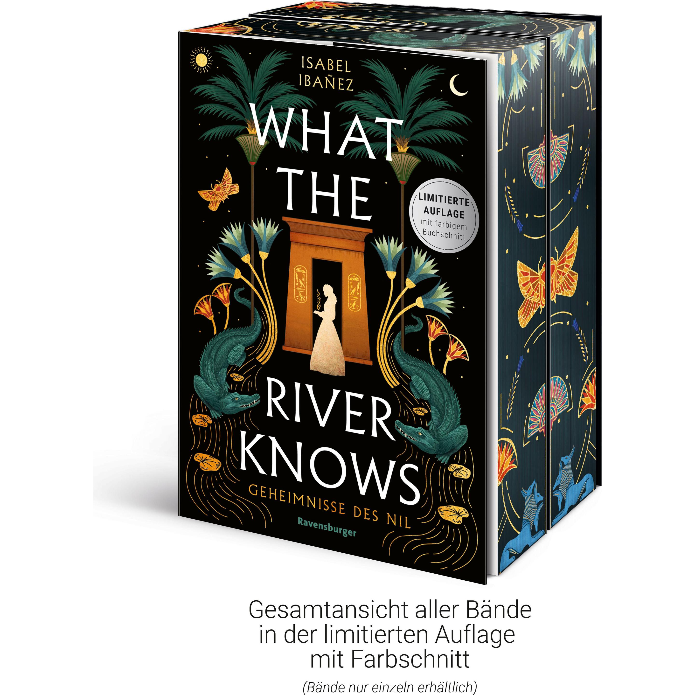 What the River Knows. Geheimnisse des Nil, Band 1, Kinderbücher von Isabel Ibaez