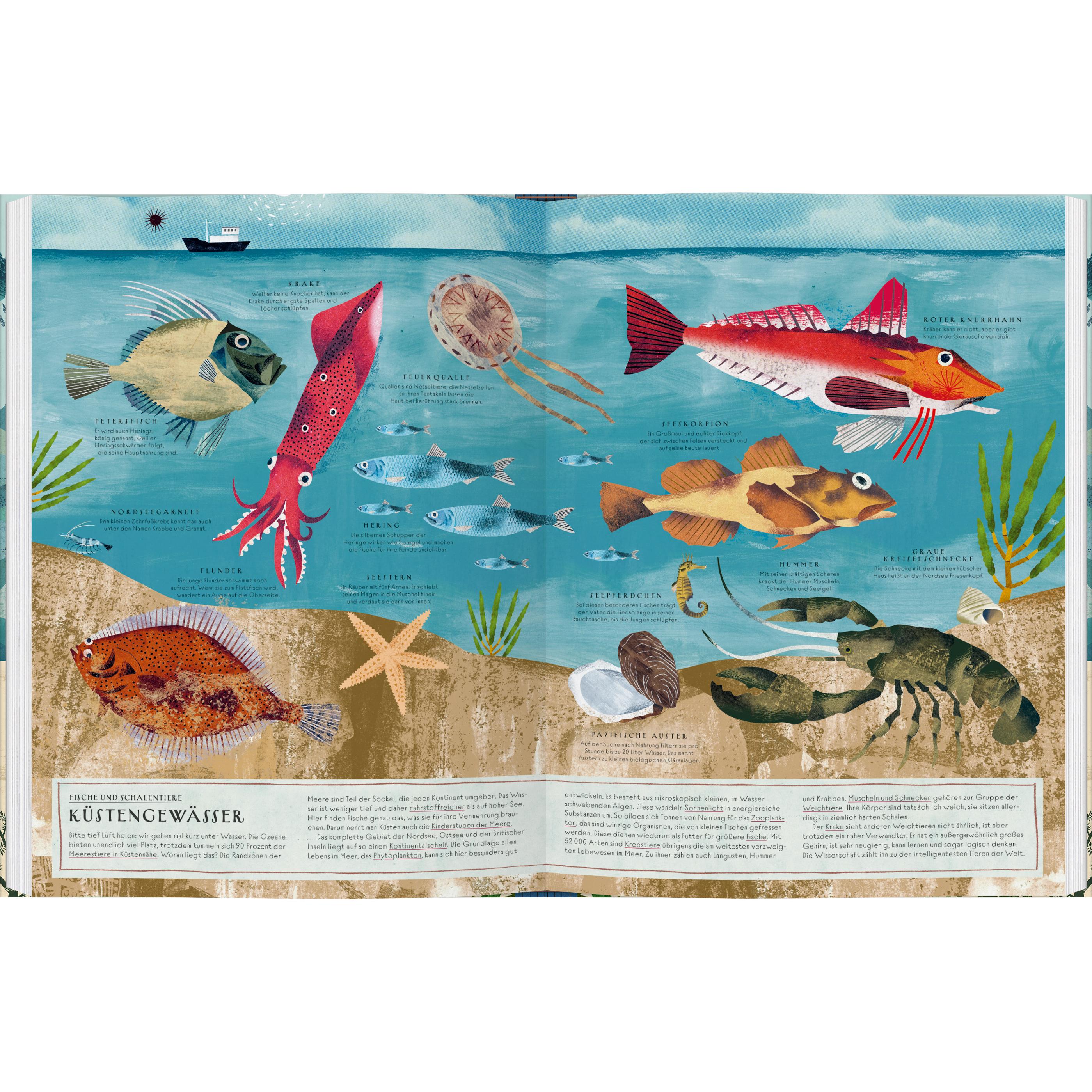 Thumbnail - Am Meer, Kinderbücher von Judith Homoki