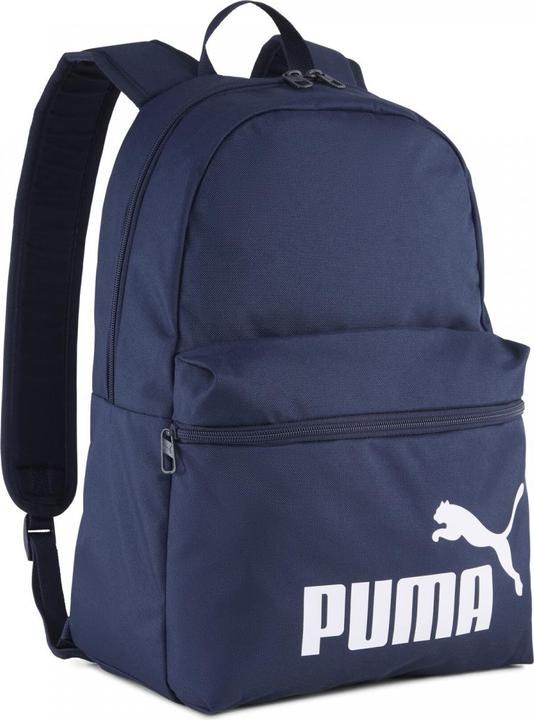 Actual product image Puma PHASE Backpack (22 l)