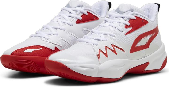 Puma Genetics