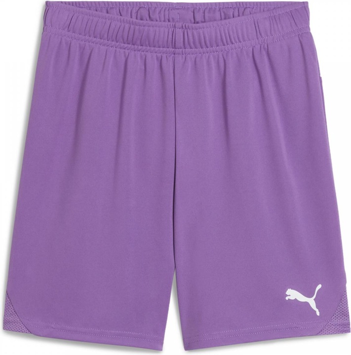 Produktbild Puma teamGOAL Shorts Jr (L)
