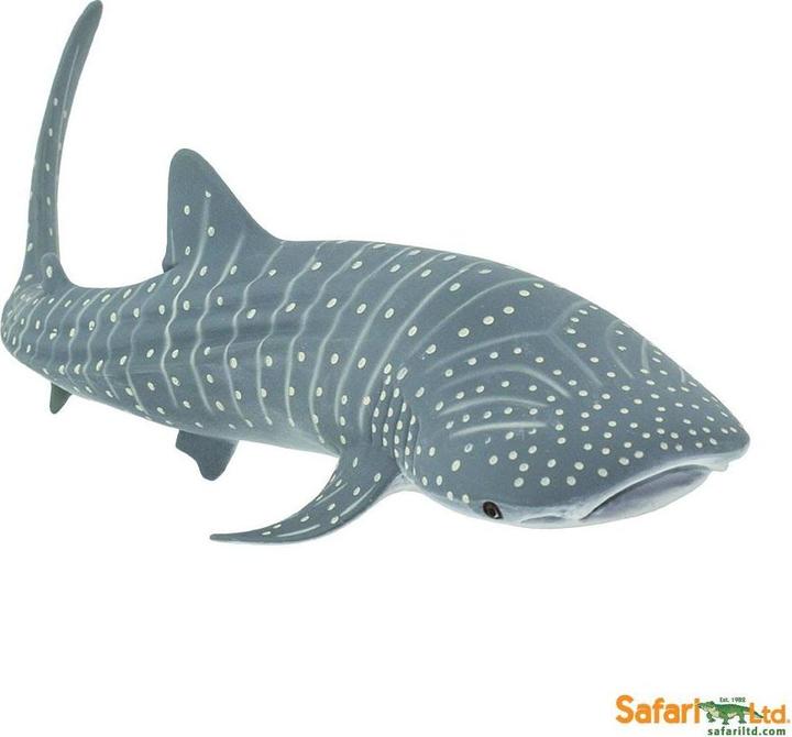 Image du produit Safari Requin-baleine