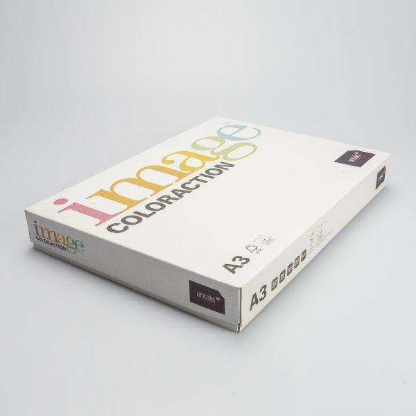 Actual product image Antalis Copy paper Image Coloraction A3, dark green, 500 sheets (80 g/m², 500 x, A3)