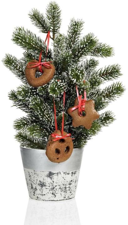 Image du produit Lurch Flexi®Form Lebkuchen