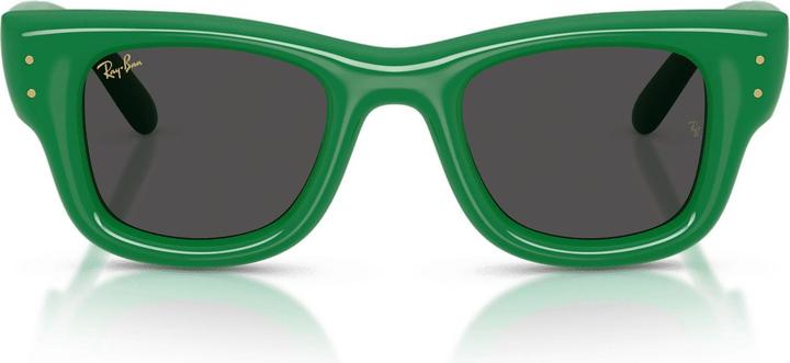 Actual product image Ray Ban Wayfarer buffer