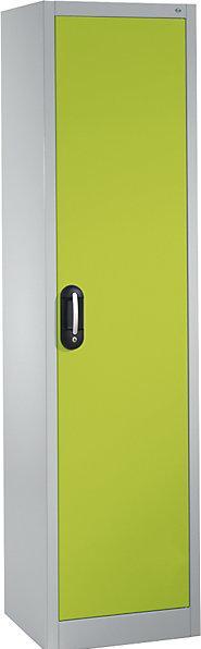 Gris clair RAL 7035, Vert viridien RDS 1108060