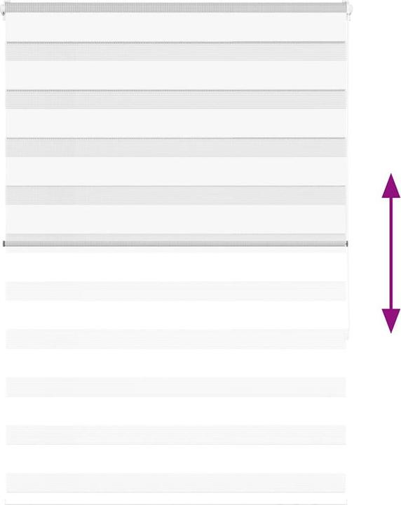 Produktbild vidaXL Zebra-Jalousie (95 x 150 cm)