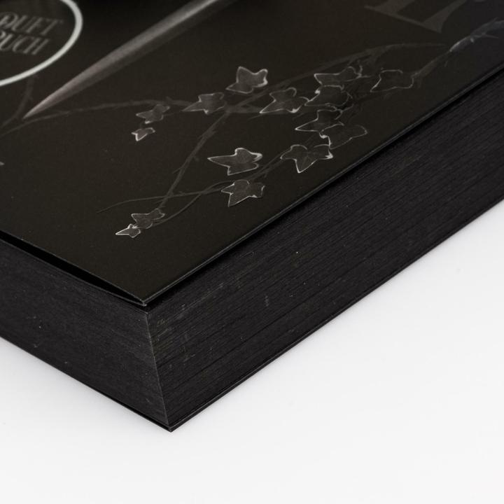 Produktbild Blackened Blade 1: The Blackened Blade (Deutsch, Larissa Bendl, Isla Davon, 2025)