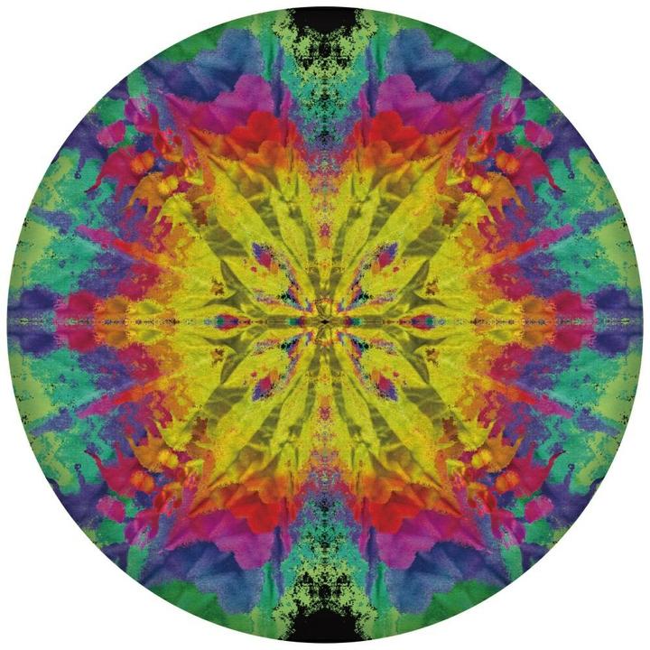 Actual product image Waboba Wingman Pro (1 piece, assorted colours)