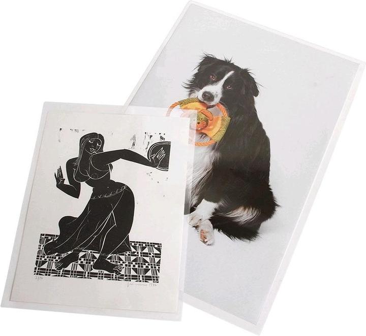 Image du produit Safe Pochette pour poster format A15 pc (A1, 5x)