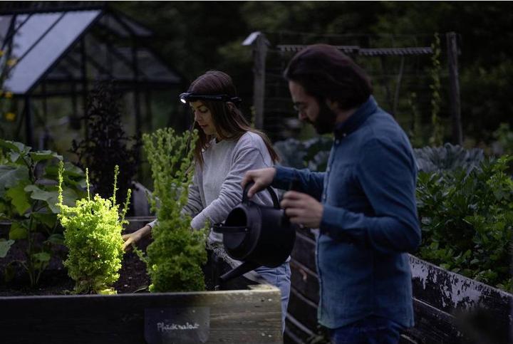 Produktbild Ledlenser H5R Core (500 lm)