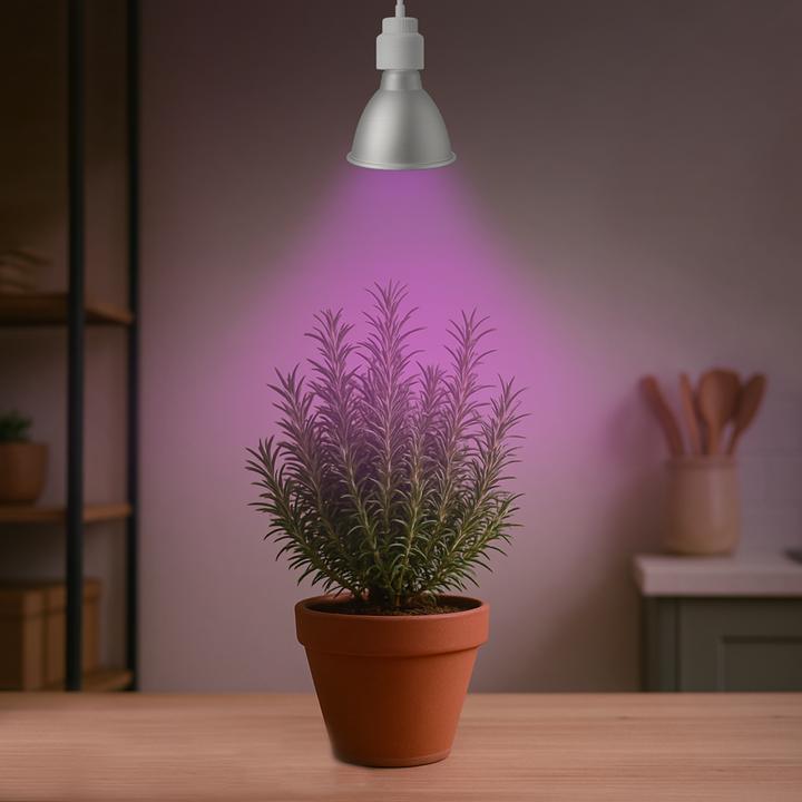 Produktbild Venso E27 Pflanzenlampe "Cultura" 15W 60° (LED, 240 V)
