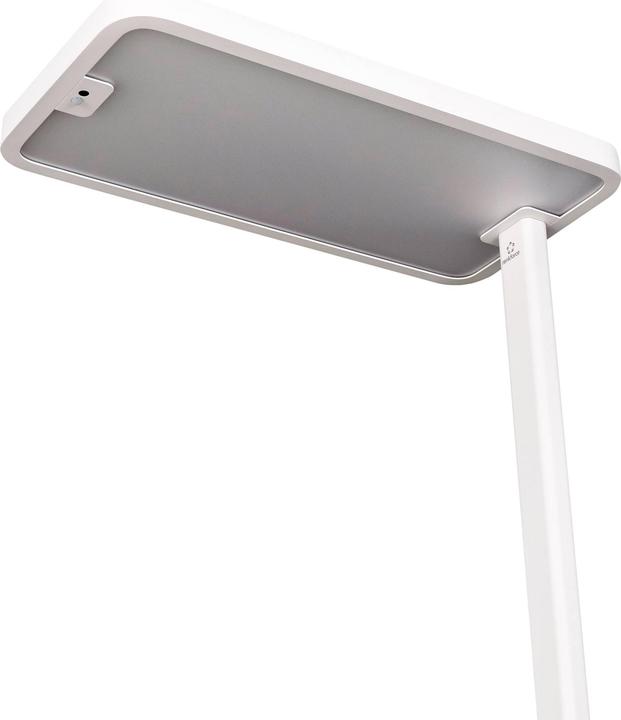 Image du produit Renkforce RF-6410432 LED-Stehlampe LED EEK F A - G Grau-Silber
