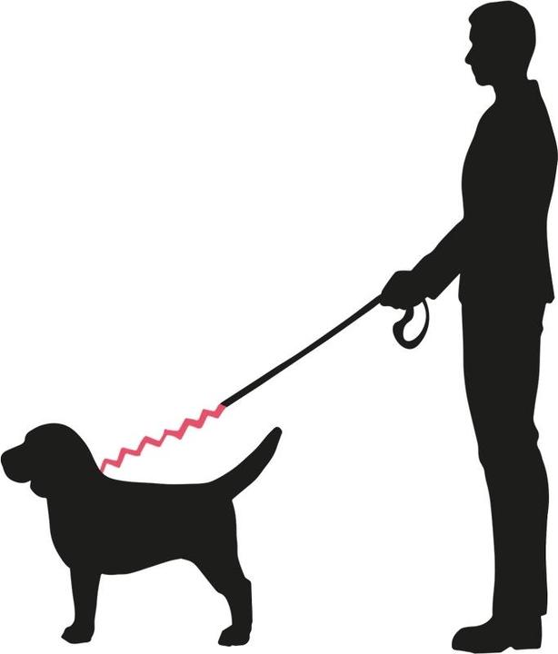 Actual product image Nobby Soft Stop Belt M (Dog, General)