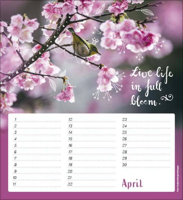 Produktbild Geburtstagskalender Im herzen barfuss