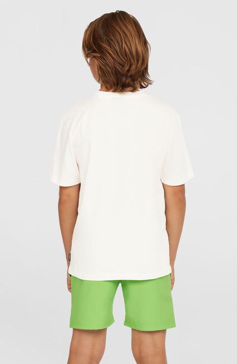 Actual product image O'Neill Original Cali 14" Swimshorts (116)