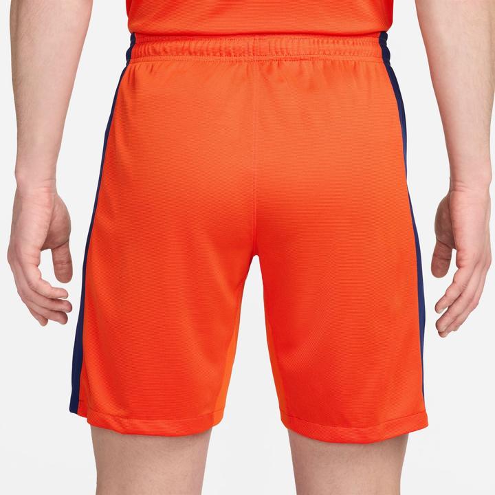 Actual product image Nike Holland EM Shorts (M)
