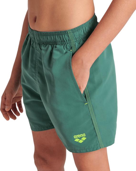 artic lime, Mangrove